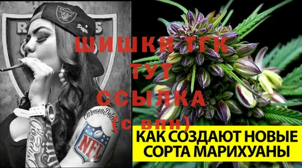 PSILOCYBIN Волосово