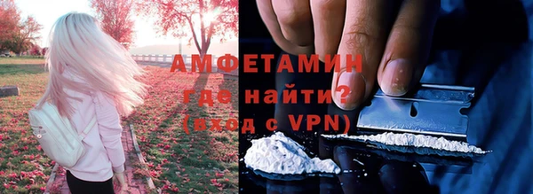 PSILOCYBIN Волосово