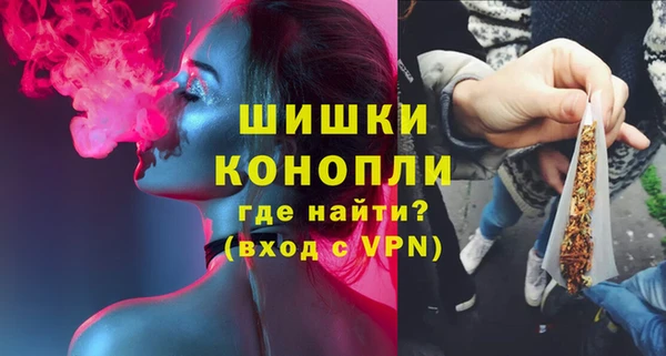 PSILOCYBIN Волосово