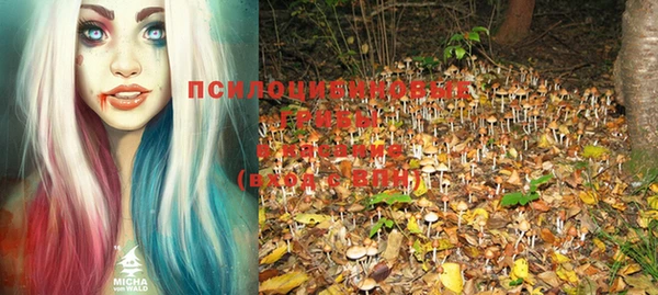 PSILOCYBIN Волосово